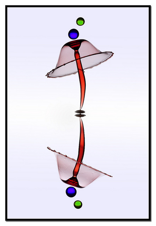 Illustration for article titled Photographs That Make a Huge Splash